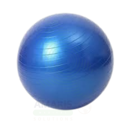 Anti-burst Gym Ball Amaris Medical