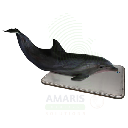 Marine Animal Floor Scale Amaris Medical