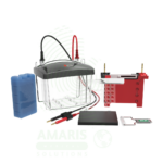 Transfer electrophoresis tank (DL-ZY03)Amaris Medical